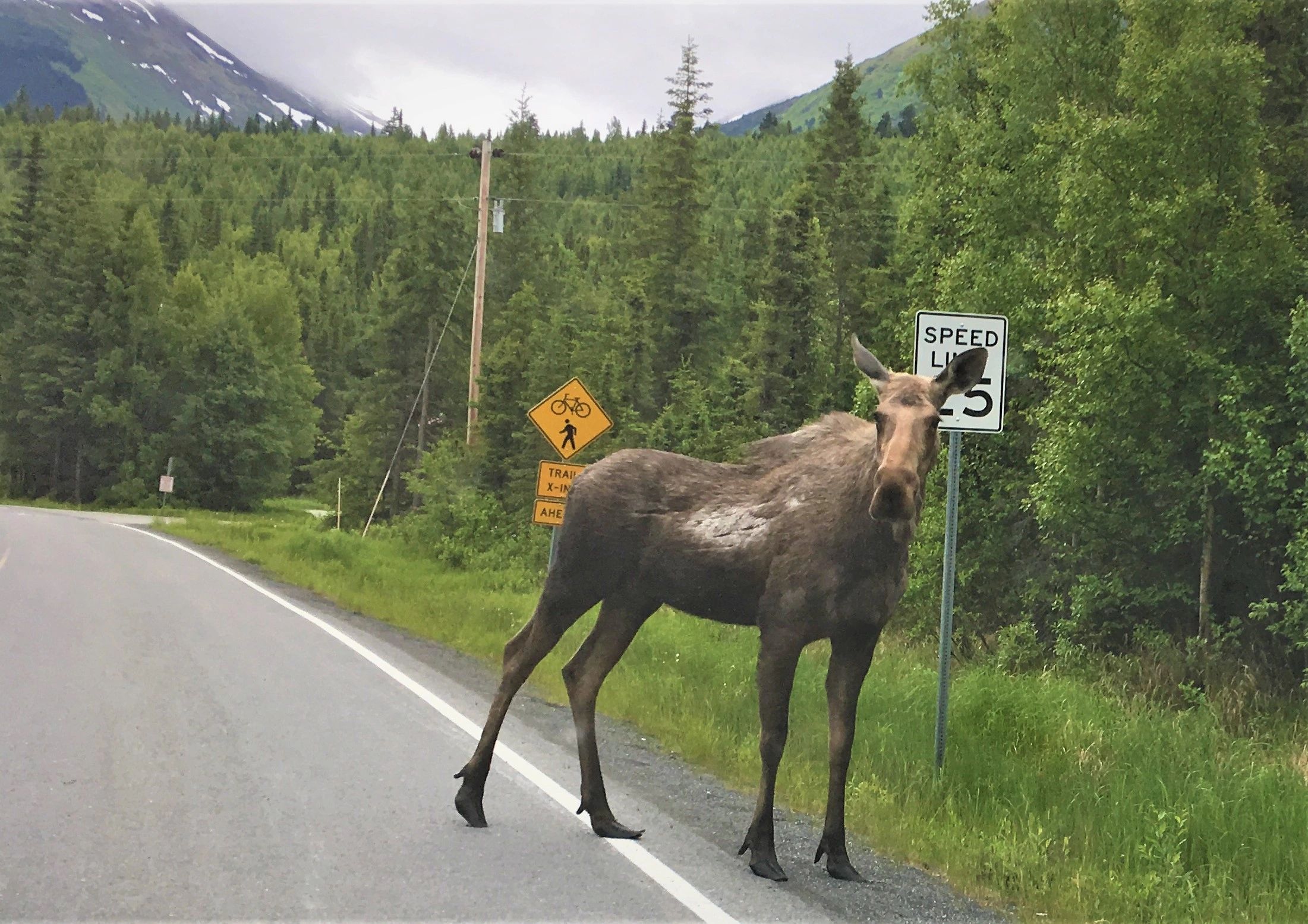 Bike Cooper Landing, LLC